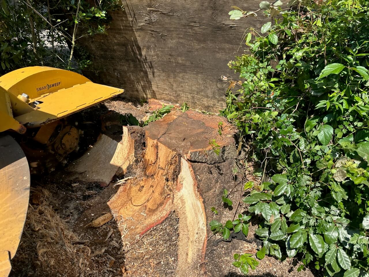 We Tend Your Trees